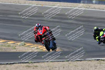 media/Apr-14-2024-SoCal Trackdays (Sun) [[70f97d3d4f]]/5-Bowl Exit (1020am)/